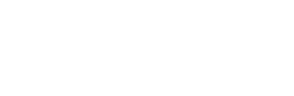 ChipTime Thailand logo